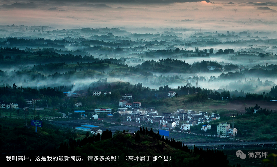 我叫高坪,这是我的最新简历,请多多关照!(高坪属于哪个县)