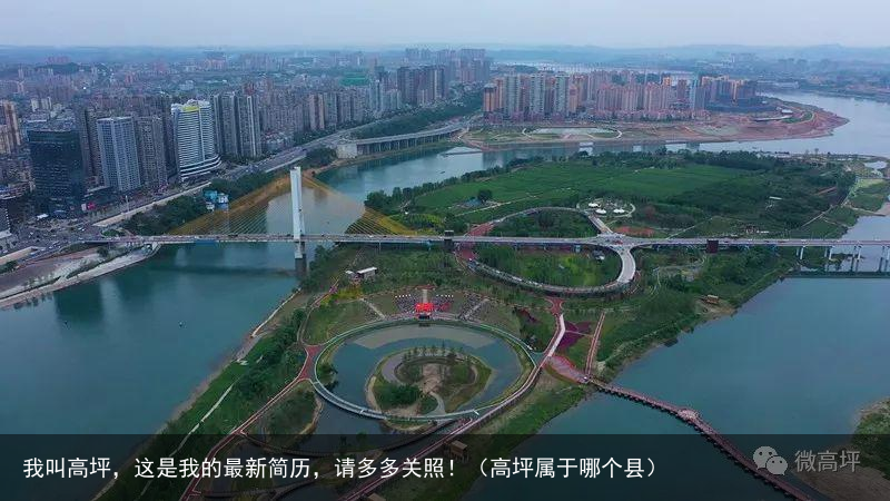 我叫高坪,这是我的最新简历,请多多关照!(高坪属于哪个县)