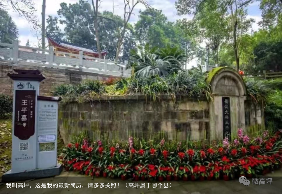 我叫高坪,这是我的最新简历,请多多关照!(高坪属于哪个县)