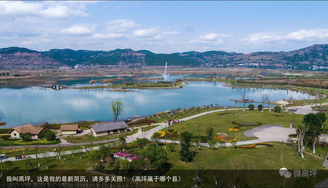 我叫高坪,这是我的最新简历,请多多关照!(高坪属于哪个县)