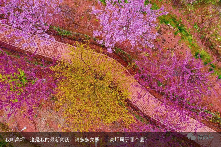 我叫高坪,这是我的最新简历,请多多关照!(高坪属于哪个县)