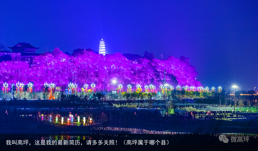 我叫高坪,这是我的最新简历,请多多关照!(高坪属于哪个县)