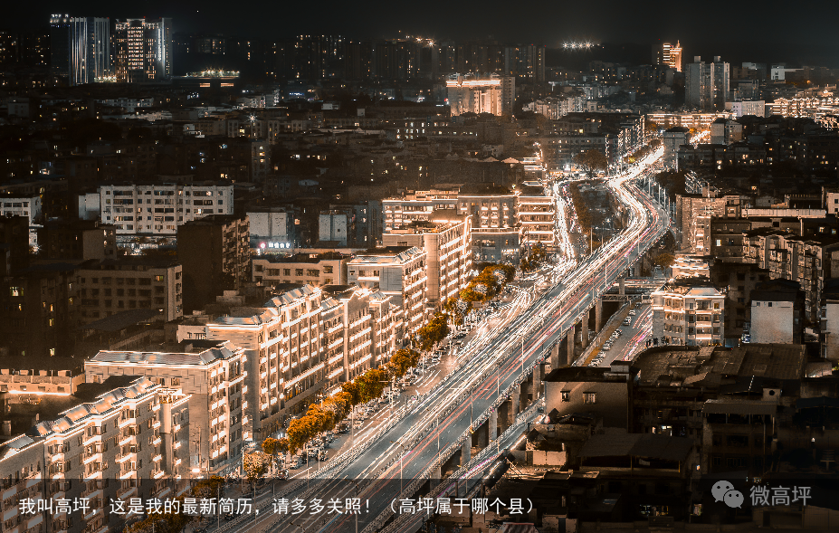 我叫高坪,这是我的最新简历,请多多关照!(高坪属于哪个县)