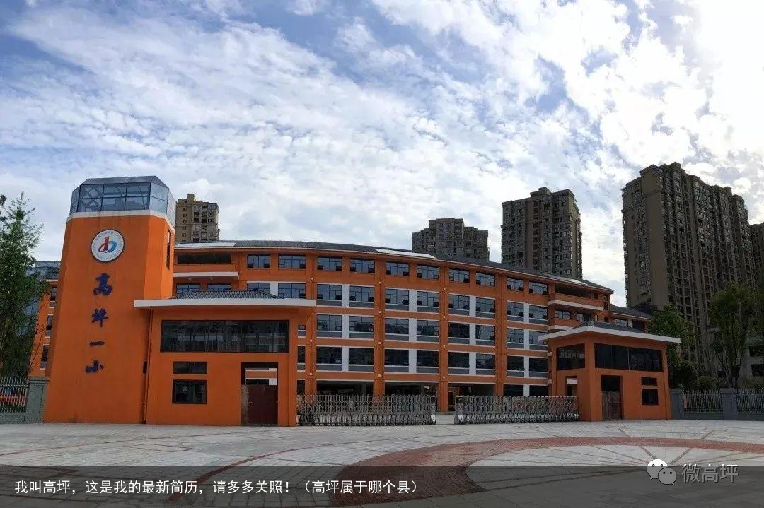 我叫高坪,这是我的最新简历,请多多关照!(高坪属于哪个县)