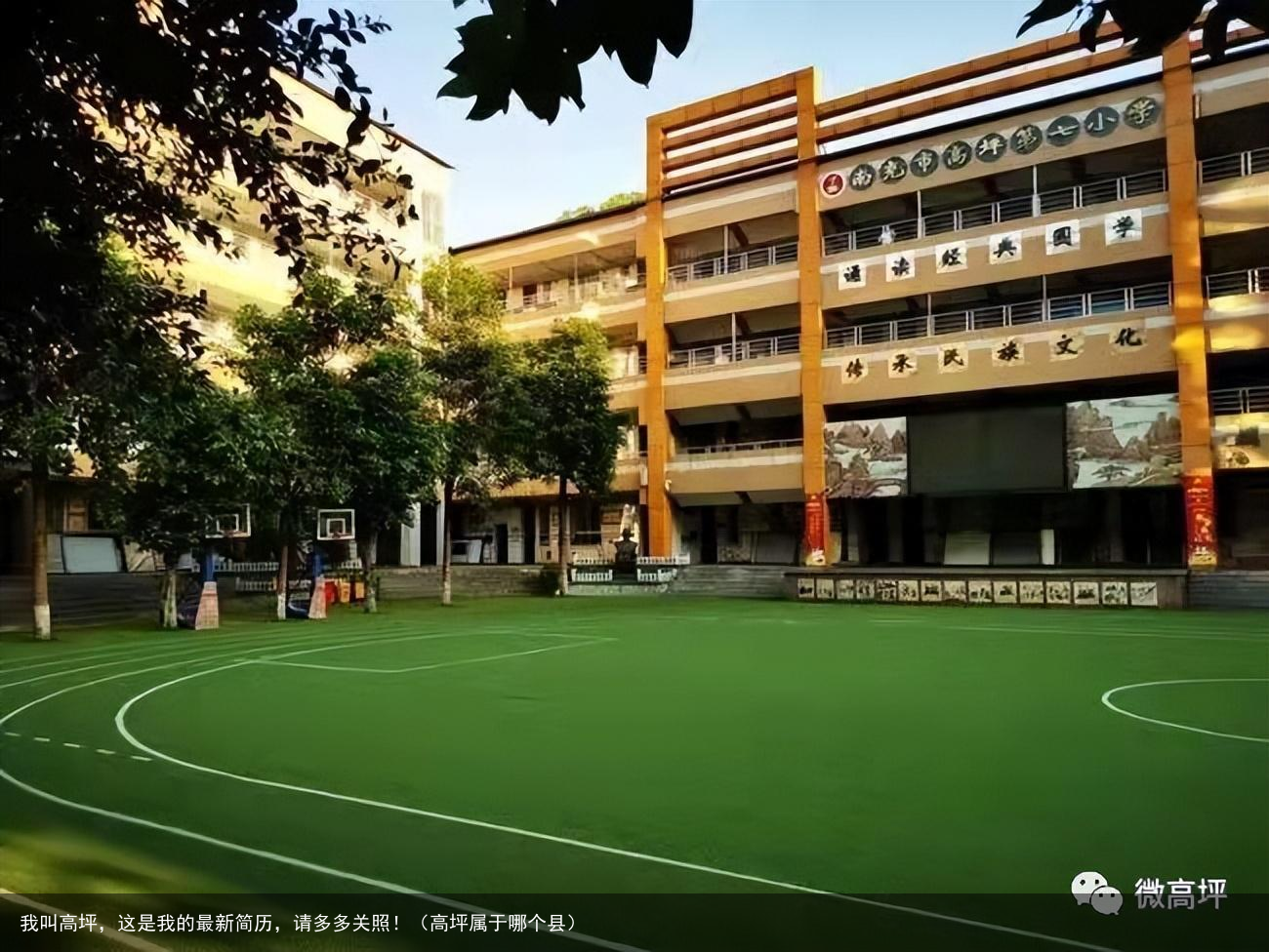 我叫高坪,这是我的最新简历,请多多关照!(高坪属于哪个县)