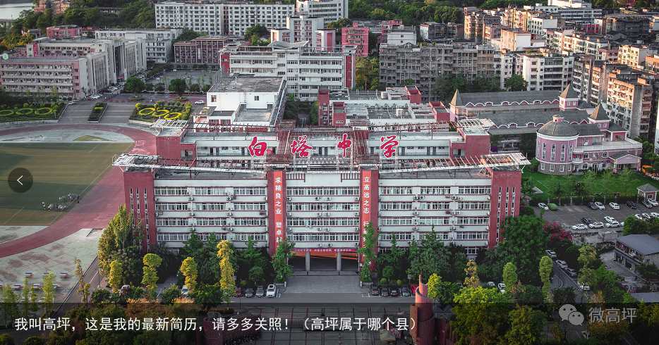 我叫高坪,这是我的最新简历,请多多关照!(高坪属于哪个县)