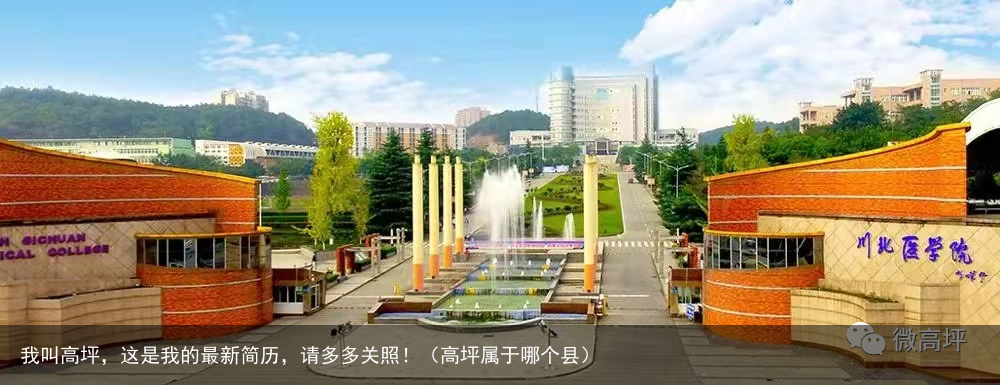 我叫高坪,这是我的最新简历,请多多关照!(高坪属于哪个县)