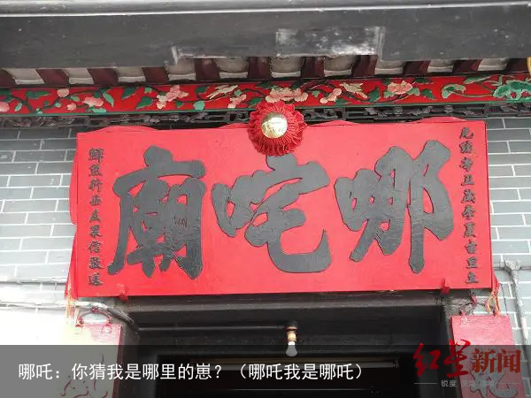 哪吒:你猜我是哪里的崽?(哪吒我是哪吒)