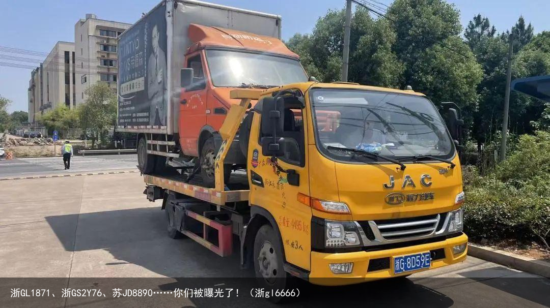 浙GL1871、浙GS2Y76、苏JD8890……你们被曝光了!(浙gl6666)