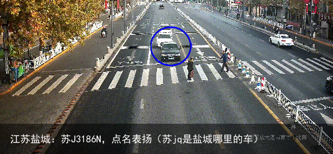 江苏盐城:苏J3186N,点名表扬(苏jq是盐城哪里的车)