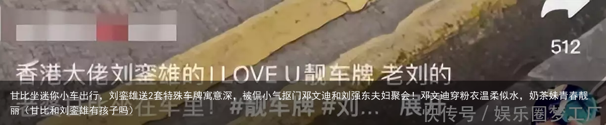 甘比坐迷你小车出行,刘銮雄送2套特殊车牌寓意深,被侃小气抠门(甘比和刘銮雄有孩子吗)