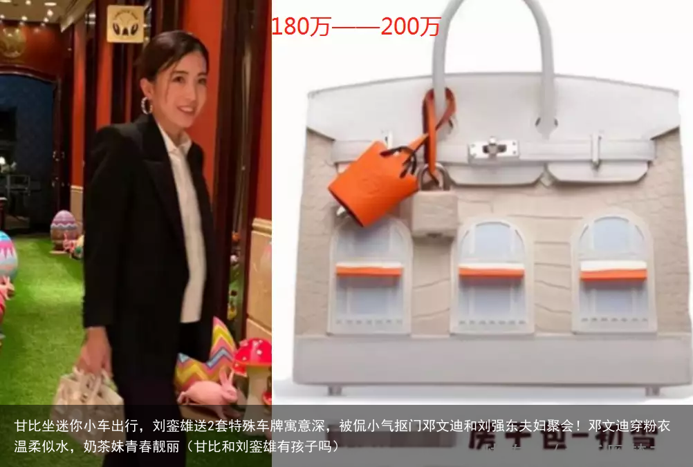 甘比坐迷你小车出行,刘銮雄送2套特殊车牌寓意深,被侃小气抠门(甘比和刘銮雄有孩子吗)