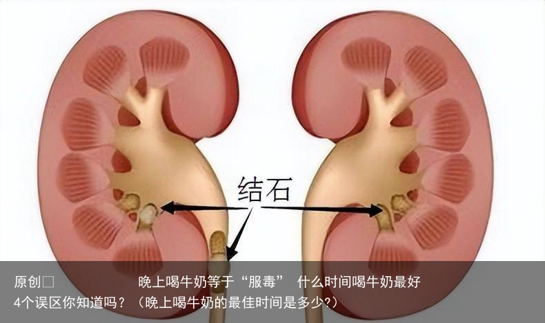 晚上喝牛奶等于“服毒” 什么时间喝牛奶最好 4个误区你知道吗?(晚上喝牛奶的最佳时间是多少?)