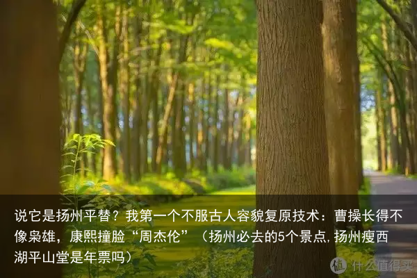 说它是扬州平替?我第一个不服(扬州必去的5个景点,扬州瘦西湖平山堂是年票吗)