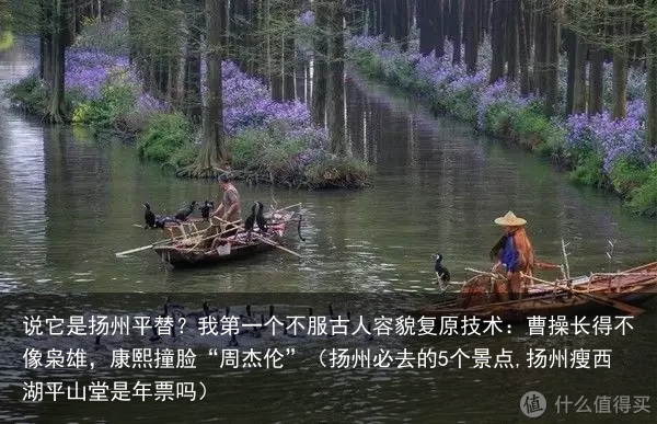 说它是扬州平替?我第一个不服(扬州必去的5个景点,扬州瘦西湖平山堂是年票吗)