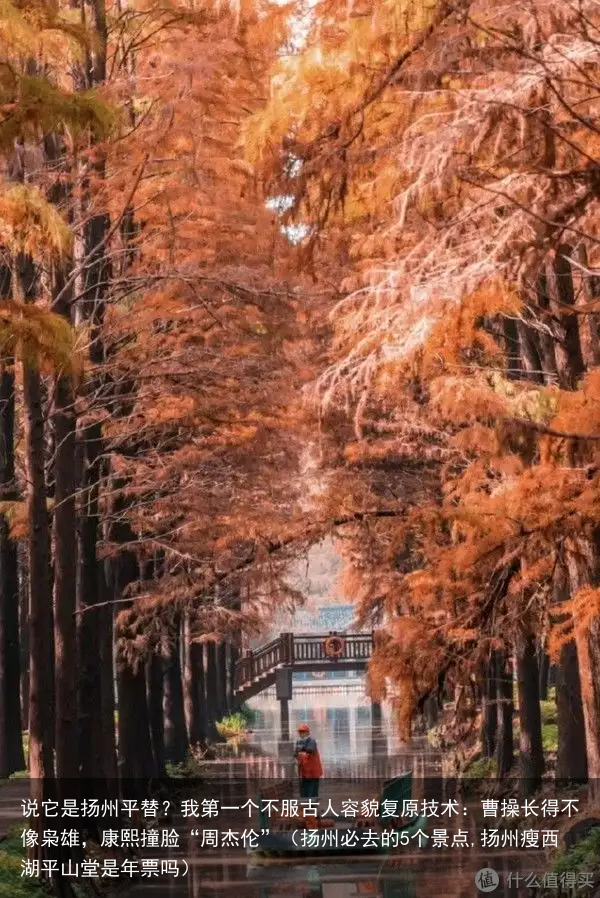 说它是扬州平替?我第一个不服(扬州必去的5个景点,扬州瘦西湖平山堂是年票吗)