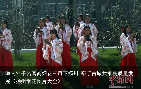 海内外千名客商烟花三月下扬州 牵手古城共推高质量发展(扬州烟花图片大全)