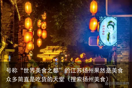 号称“世界美食之都”的江苏扬州果然是美食众多简直是吃货的天堂(搜索扬州美食)