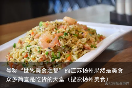 号称“世界美食之都”的江苏扬州果然是美食众多简直是吃货的天堂(搜索扬州美食)