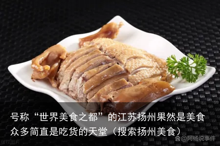 号称“世界美食之都”的江苏扬州果然是美食众多简直是吃货的天堂(搜索扬州美食)