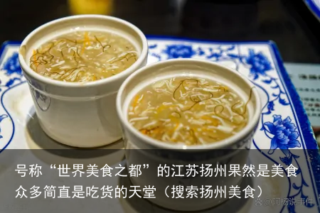 号称“世界美食之都”的江苏扬州果然是美食众多简直是吃货的天堂(搜索扬州美食)