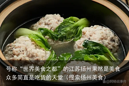 号称“世界美食之都”的江苏扬州果然是美食众多简直是吃货的天堂(搜索扬州美食)