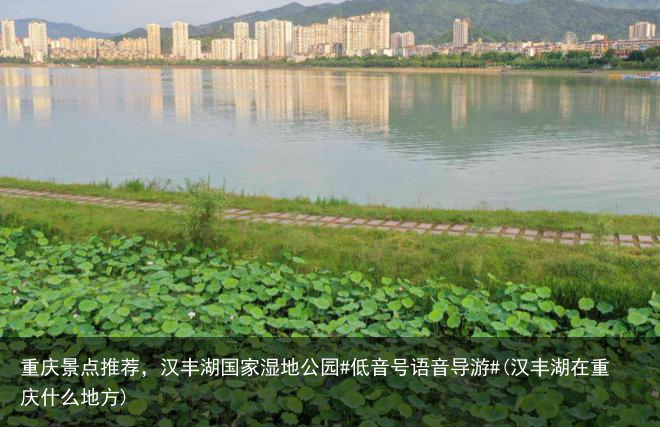重庆景点推荐,汉丰湖国家湿地公园#低音号语音导游#(汉丰湖在重庆什么地方)