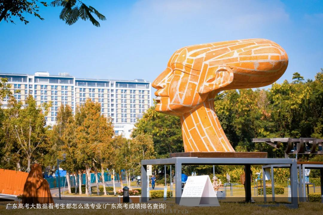 广东高考大数据看考生都怎么选专业(广东高考成绩排名查询)