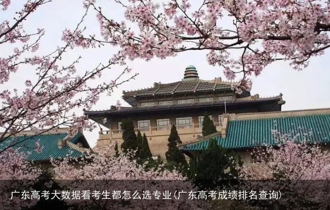 广东高考大数据看考生都怎么选专业(广东高考成绩排名查询)