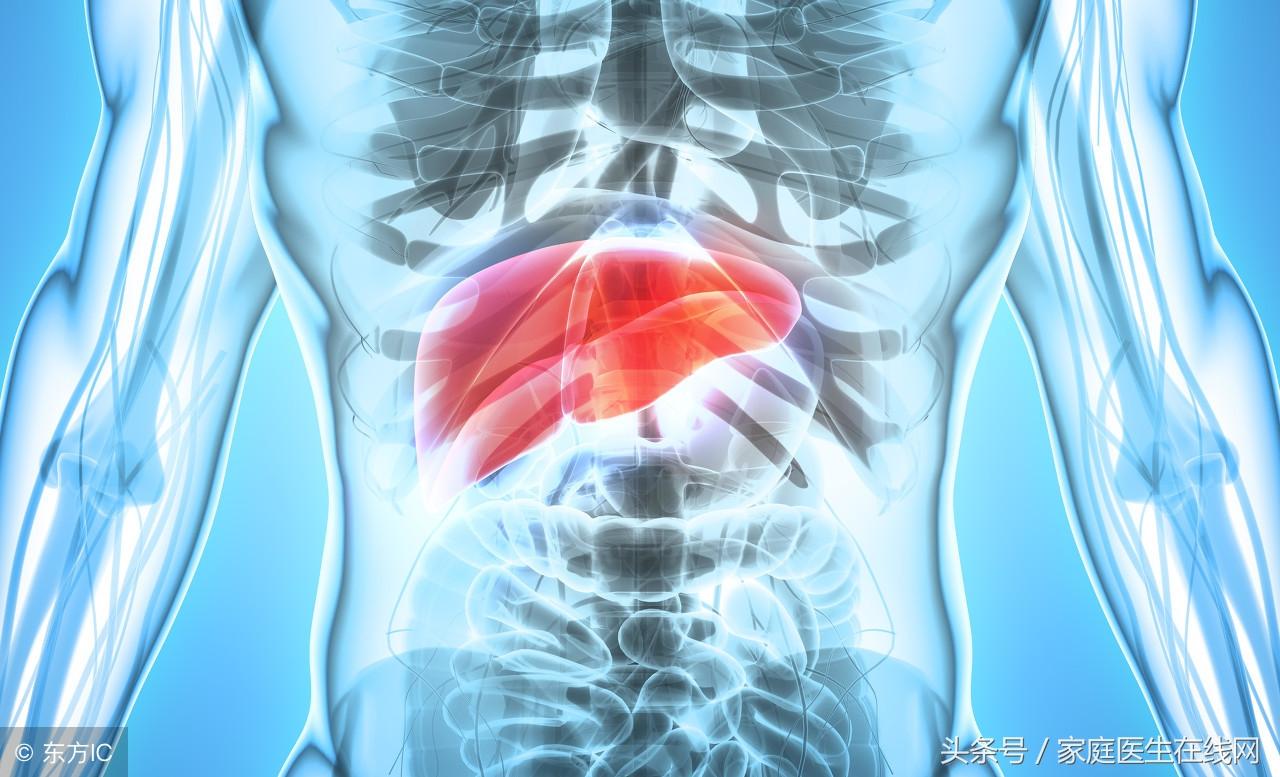 肝脏结节是癌吗?别怕,这一种情况就只需定期复查(肝部出现结节是不是肝癌)