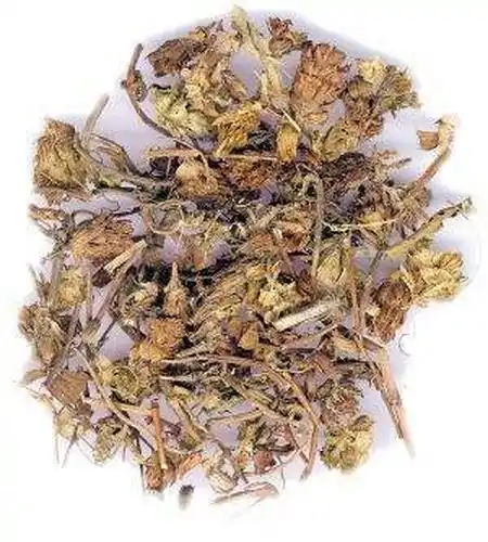 夏枯草的作用与功效及忌讳是啥(夏枯草的作用与功效及忌讳是啥呀)