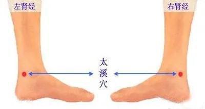 全国知名老中医男科专家杨栋医生:阳痿,该怎么调理?(名老中医男科验方)