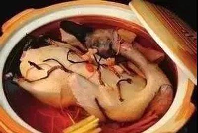 全国知名老中医男科专家杨栋医生:阳痿,该怎么调理?(名老中医男科验方)