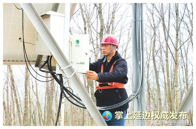 聆听劳模故事|魏茂林:奉献十余载 守望山林绿(全国劳模魏存成简历介绍)