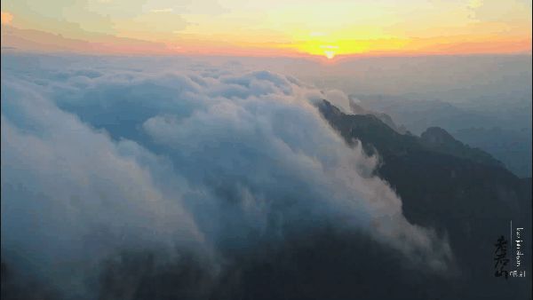 【攻略】老君山观云海攻略 再也不怕错过美景啦(老君山观海避暑节2020)