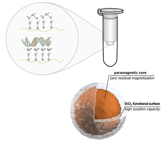 德国耶拿C16核酸提取系统助力高标准样本库(德国耶拿公司待遇好吗)