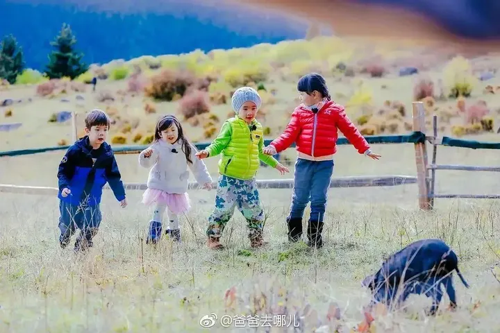 7天涨粉1000万的刘畊宏,到底是谁?成功背后的3个关键点。(刘畊宏老婆多高多重)