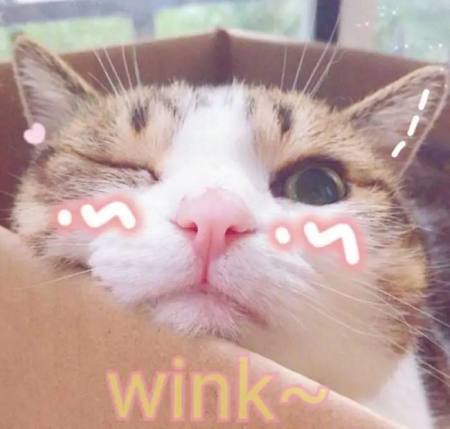 用它们代替主食,越吃越瘦!(懒人必备)(替代主食的东西)