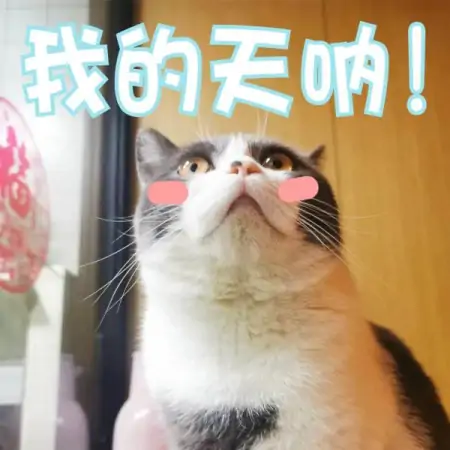 事发福州!男子一次性吃下40片药(一次性吃多少药能死)