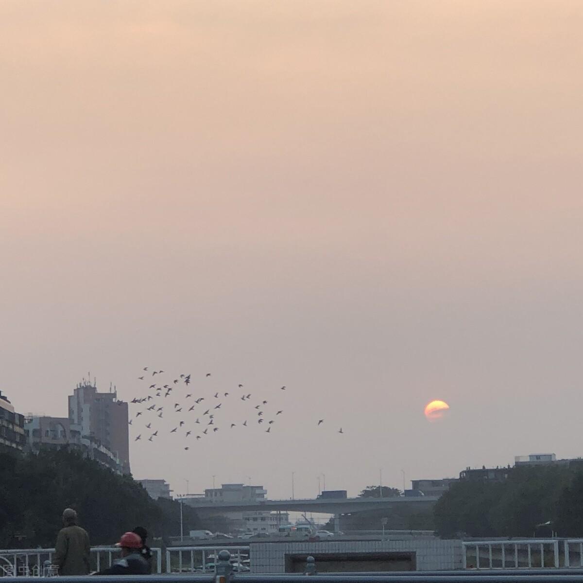 达咩、达咩达咩(达咩达咩达咩哟原视频)