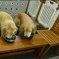 能吃是福?达咩× 警惕这些疾病(能吃是福下一句搞笑)