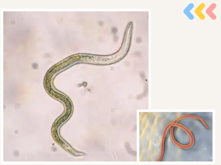 能吃是福?达咩× 警惕这些疾病(能吃是福下一句搞笑)