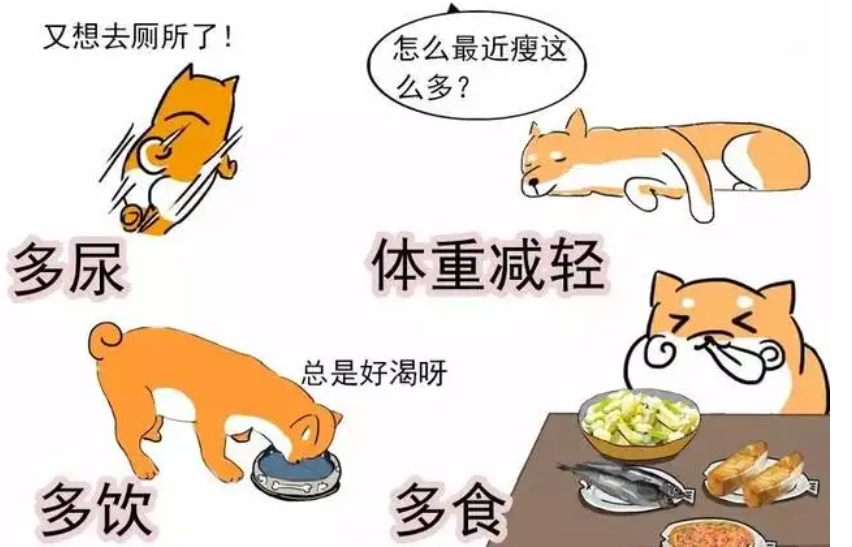 能吃是福?达咩× 警惕这些疾病(能吃是福下一句搞笑)