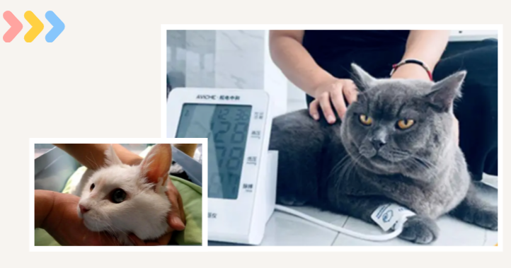 能吃是福?达咩× 警惕这些疾病(能吃是福下一句搞笑)