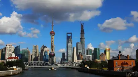 江西农村一位阿姨参加上海婚宴,菜上桌全是精品,网友:真精致(江西新娘出嫁视频)