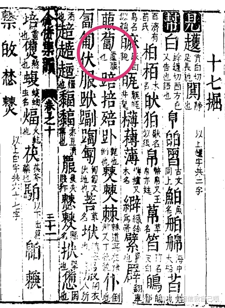 关于卜的发音:为什么萝卜的卜念bo,在占卜中念bu?(萝卜的卜是什么意思)