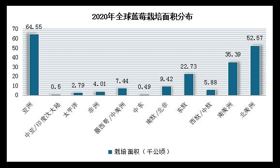 全球最大蓝莓生产国,是哪个国家?(世界蓝莓产量排名)