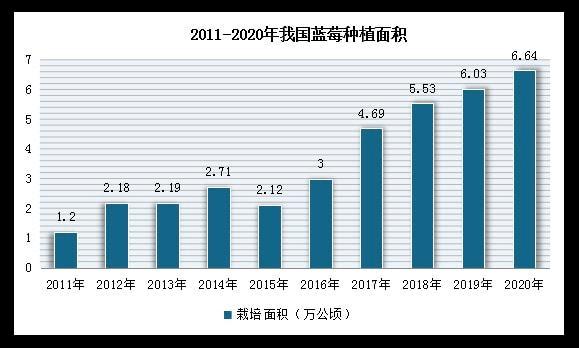 全球最大蓝莓生产国,是哪个国家?(世界蓝莓产量排名)