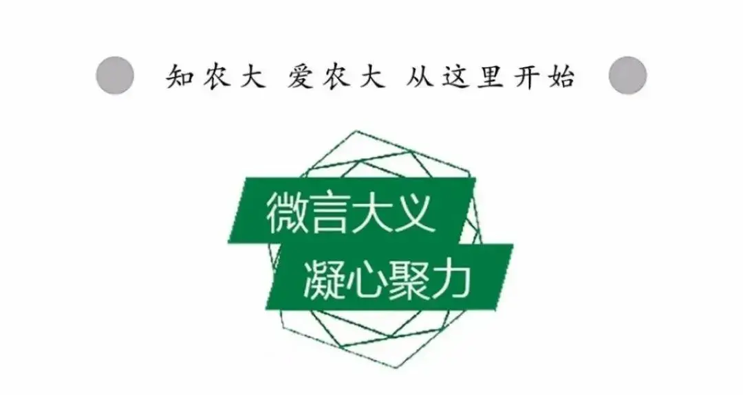 打起精神!2023年上半年四六级考试时间定了!(二零二一年下半年四六级考试时间)