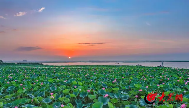你要写济宁,就不能只写济宁(你要写济南冬天)